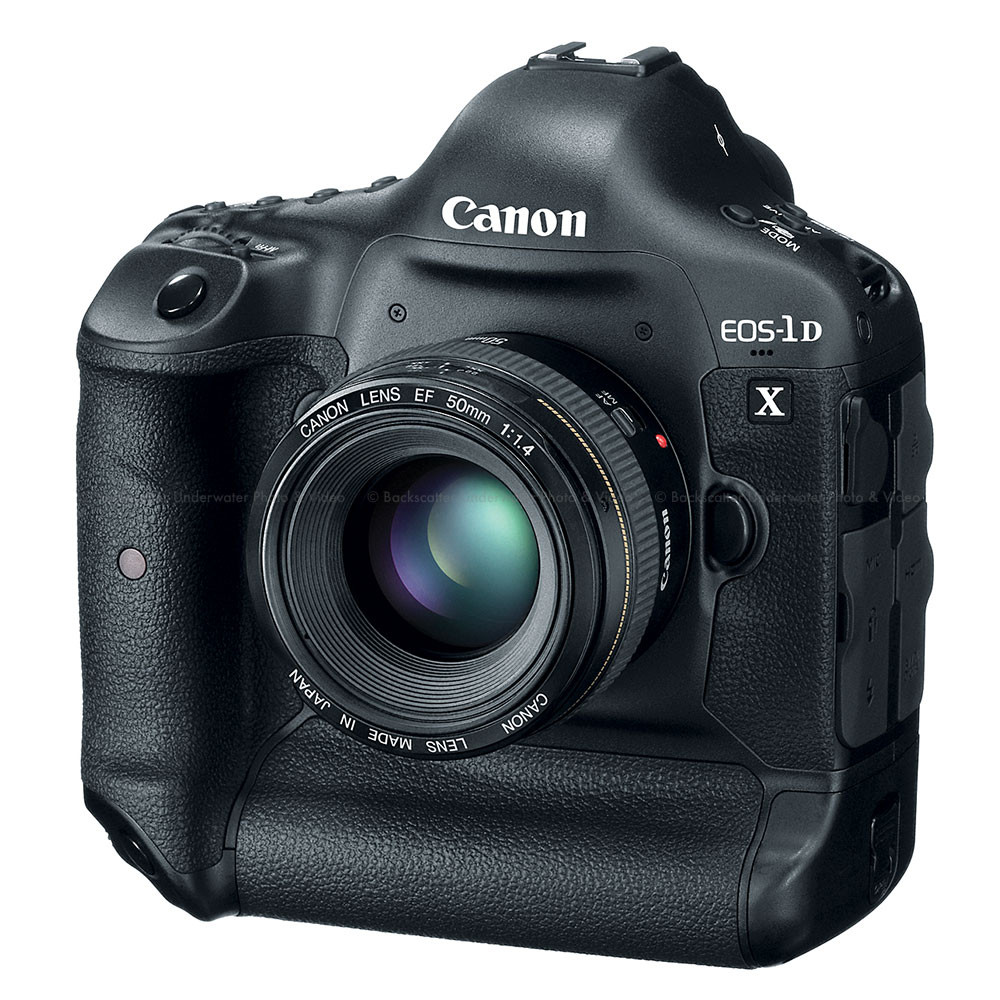 Canon 1DX Repair Center. | Camera Repair